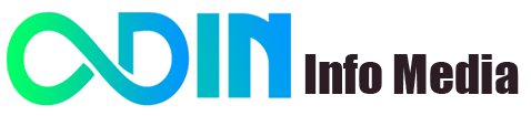 Hire Best Website Design and SEO Services Company In Delhi