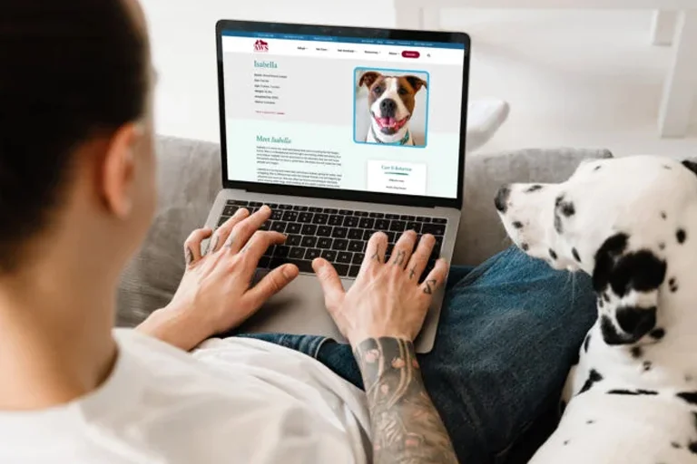 AWS-lifestyle-project5