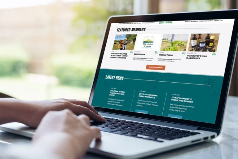 Real-Maine-project-12